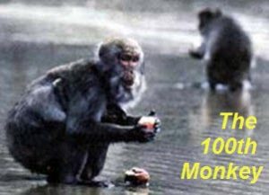 100th monkey effect