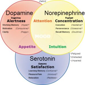 Dopamine and serotonin is for great fitness