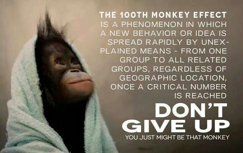 100th monkey phenomenon