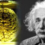 Why Einstein’s brain was stolen- shocking brilliance revealed!