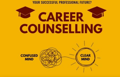 career couinselling for professional